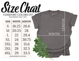 Tennessee Coquette Bow Tee
