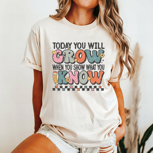 Testing Teacher Tee